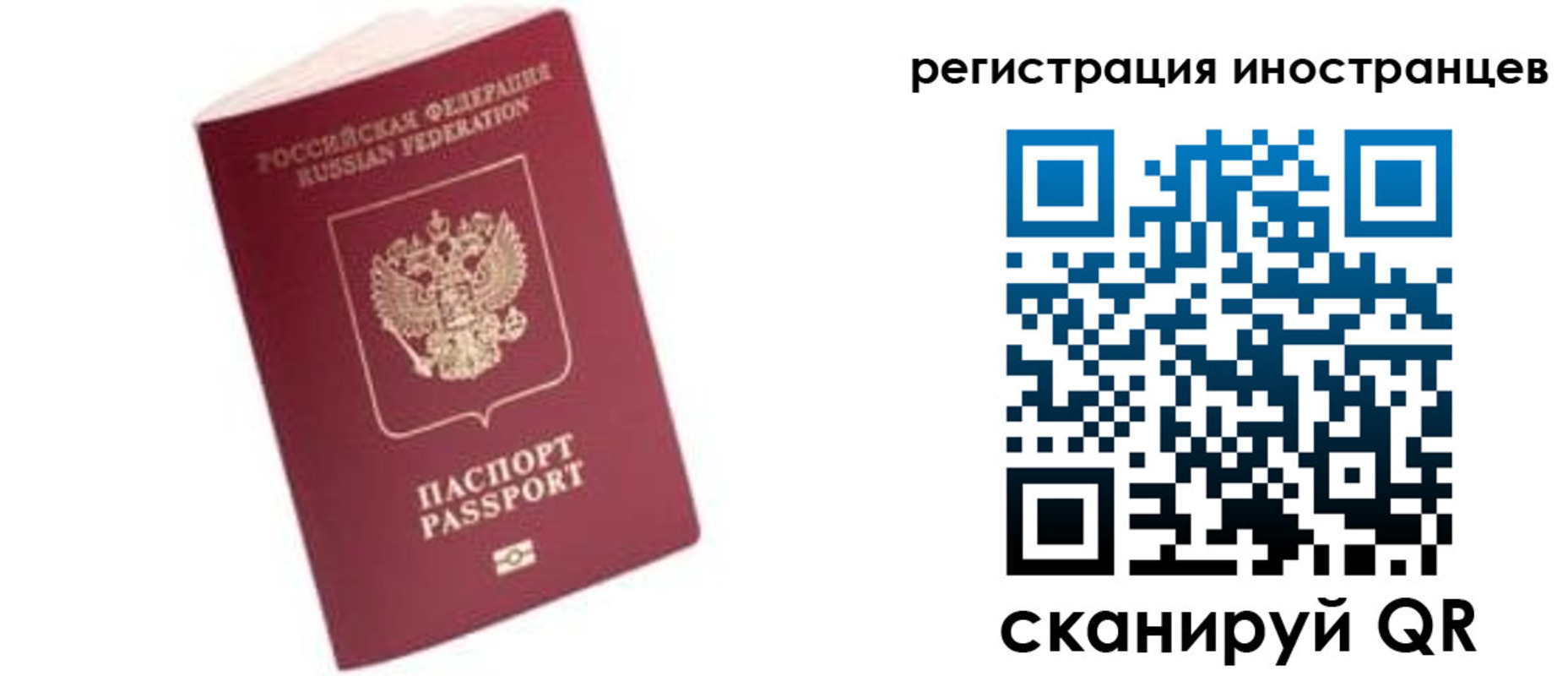 прописка гарантия в Воронеже